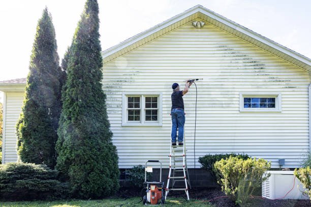 Best House Pressure Washing  in Serenada, TX